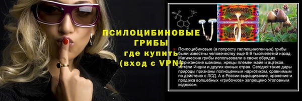 стаф Белоозёрский