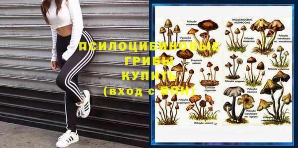 стаф Белоозёрский