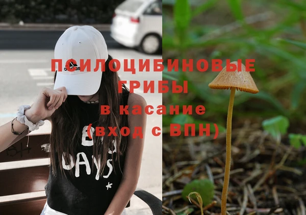 каннабис Белокуриха
